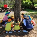 초록샘어린이집 이미지