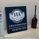 모모그루밍 이미지