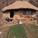 초가집(주) 이미지