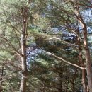 모노골샘터 이미지