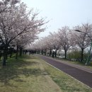 낙동강변로 이미지