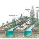 귀환농장 이미지
