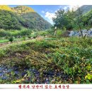 가을농장 이미지