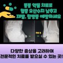 류마이준희내과의원 이미지