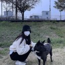 윤톨 | 의욕 상실 4월 벼락 블로그