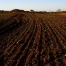 흙으로의 여행 이미지