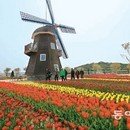 순천만 민속 한옥 이미지