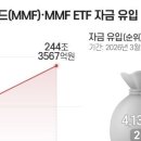 현기증 나는 증시에 '갈 곳 잃은 돈' 속출…MMF·CMA에 뭉칫돈 이미지