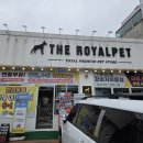 새빛초등학교 | 용인 상현동 배달가능 강아지 고양이 애견용품 천국 더로얄펫 본점 (feat. 애견 미용실)