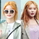 styleM헤어 이미지