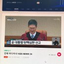 단리성 | 일상일기 #8 :: 은행 벚꽃 은행 벚꽃 은행