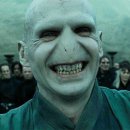 으르렁대 이미지