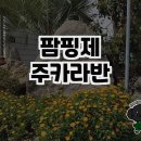 팜핑제주 | 제주도에서 만나는 특별한 카라반 경험, 팜핑제주카라반