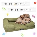 우리두리 이미지