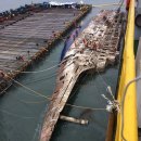 수면부상 이미지