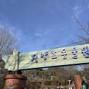 경남야생동물구조센터 | 경남 진주 진양호 동물원 방문 가이드ㅣ주차, 요금표, 시간, 위치 총정리