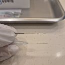 신유선한의원