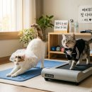 대연생고깃간