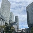 일본 名古屋 :) 나고야
