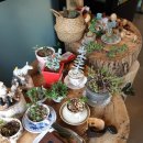 아르볼꼴렉 | [나무공방 카페]맛있는 커피와 디저트가있는 아르볼꼴렉