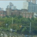 송호초등학교 앞 네이버블로그