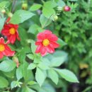 좋은기름나라주유소 이미지