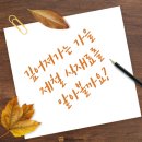 10월 영양정보＜가을 제철음식 알아보기＞ 이미지