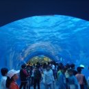 울산 장생포고래박물관 이미지