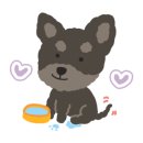 푸드포퍼피 이미지