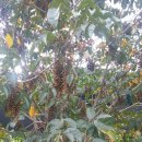 구봉산마을 이미지