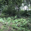 홍산2리 노인회관 이미지