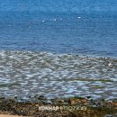 남해-302 이미지