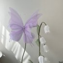 마이아오브제