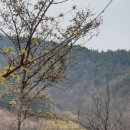 화전2리경로당 이미지