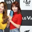 모모 이미지