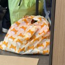 로띠번삼계점 | 어프레이드-우앞더사-좋아합니다 구간 10만원