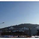 조선대학교 이미지