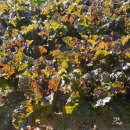 후곡4길 이미지