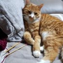 산호수농장 이미지