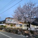 블루민박 이미지