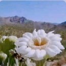 타이어프로 흥업점 이미지