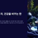 소나무전통차 이미지