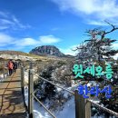 영실기암과 오백나한 | 한라산 영실 윗세오름 어리목 한라눈꽃버스 이용