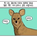 커피사진관