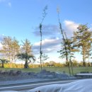 스테이인숲 | 제주도 서귀포 한적한 통창뷰 독채 숙소 추천 내돈내산 포르투나스테이인표선