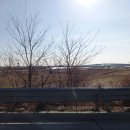 공항농장 이미지