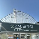 [용인 가볼만한곳] 꽃순이들 눈 뒤집히는 남사 화훼단지 ‘모닝플라워’ 솔직 후기 (feat. 꽃 들어오는 날)