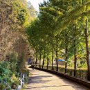 송집수효자각 이미지