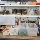 고령염소마을 | 경북 고령 염소불고기 맛집 [고령 염소마을] 방문 후기