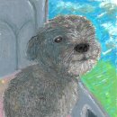 나무(NAMU) 이미지